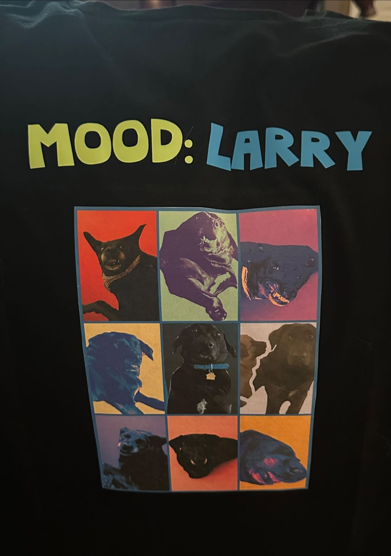 Mood Larry pet portrait grid tee