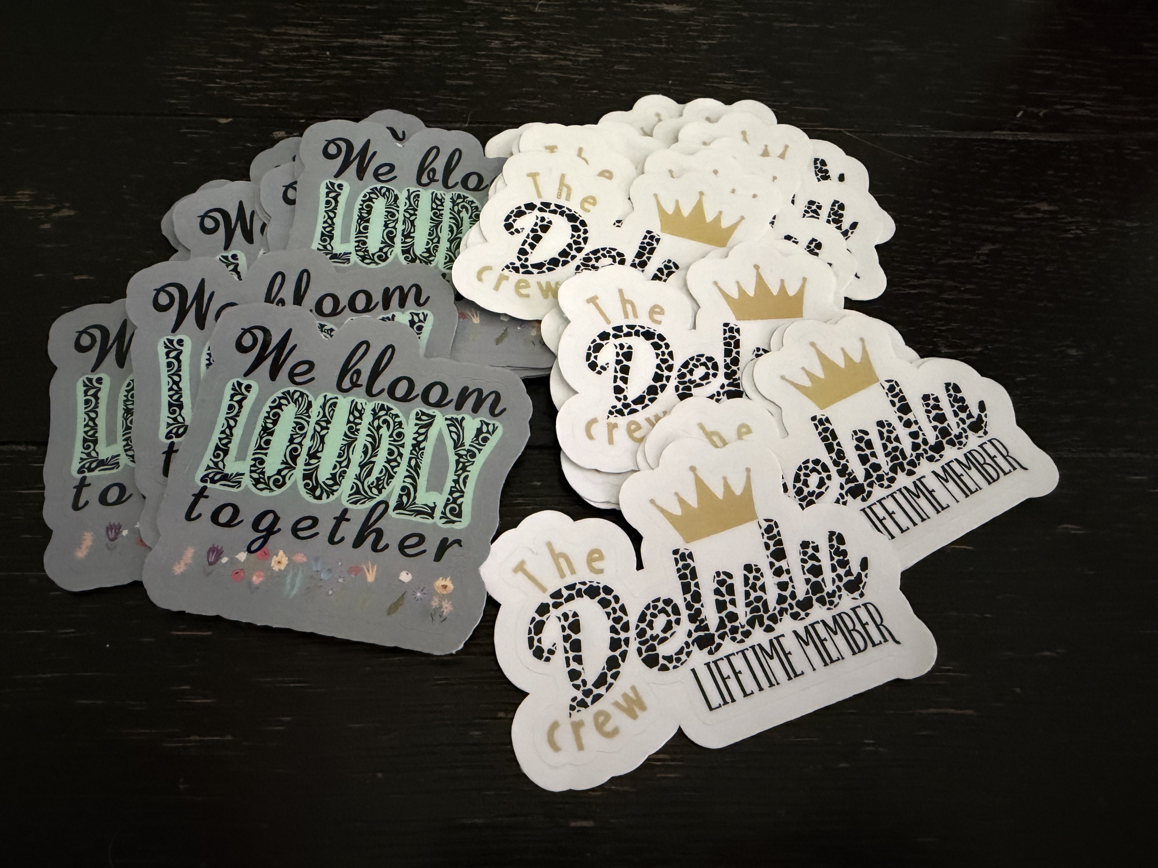 Assorted vinyl stickers — Bloom Loudly and Delulu Crew
