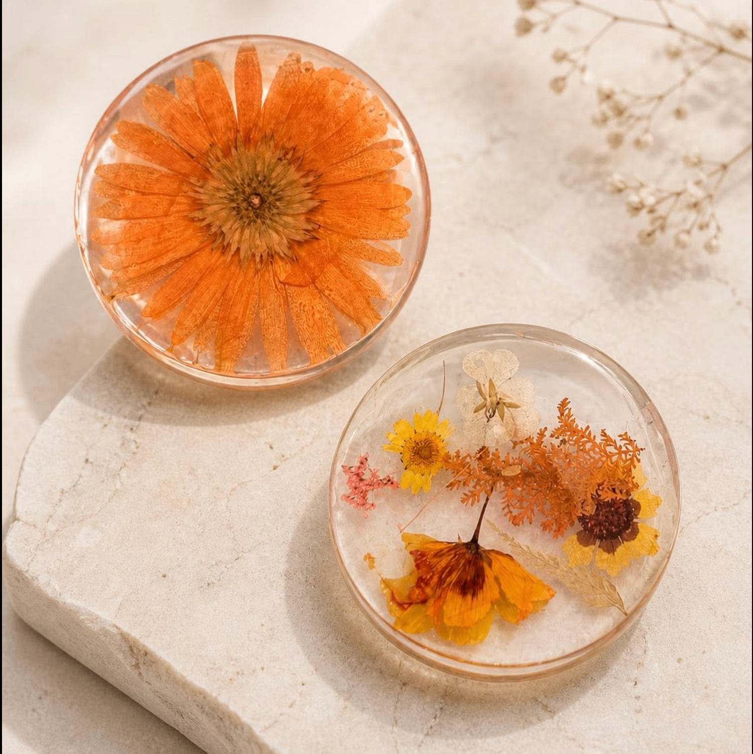 Pressed flower coaster set